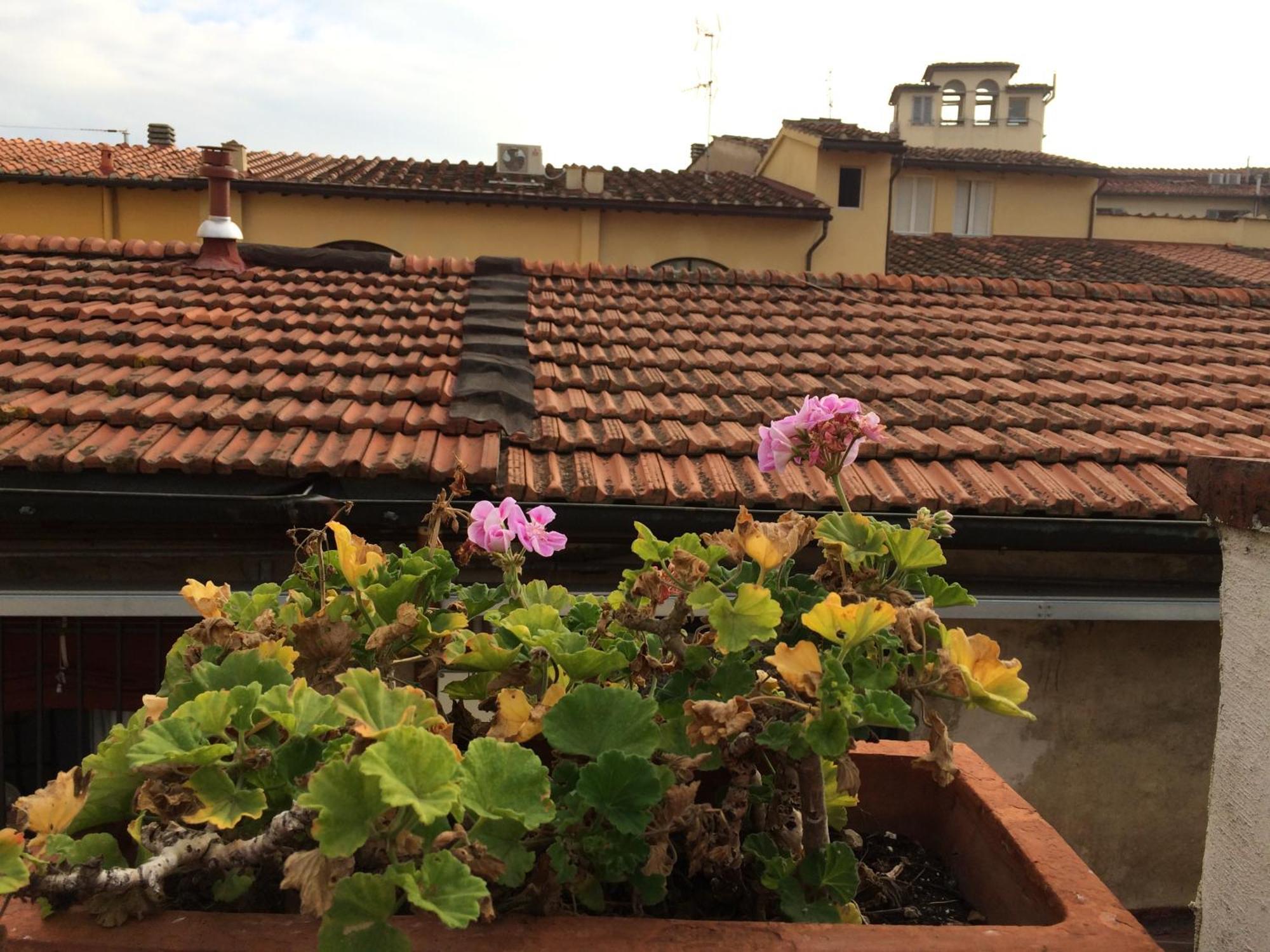 Hotel Il Bargellino Florence Buitenkant foto